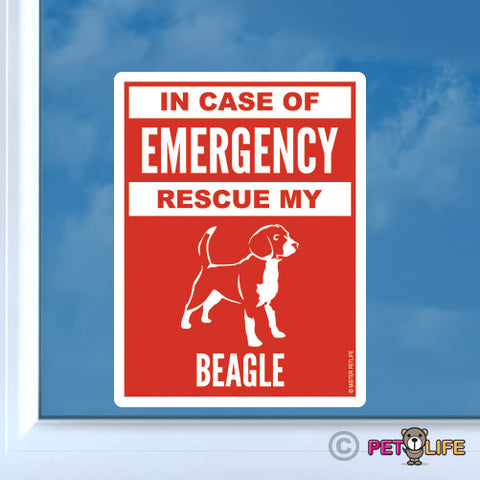 In Case of Emergency Rescue My Beagle Sticker