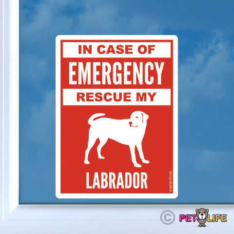 In Case of Emergency Rescue My Labrador Sticker