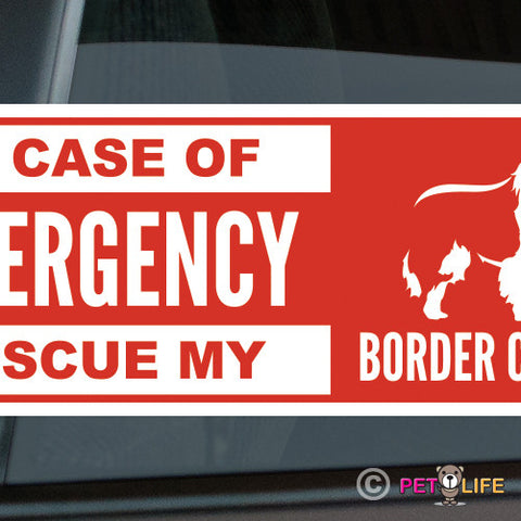 In Case of Emergency Rescue My Border Collie Sticker