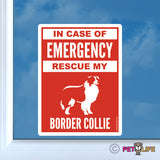 In Case of Emergency Rescue My Border Collie Sticker