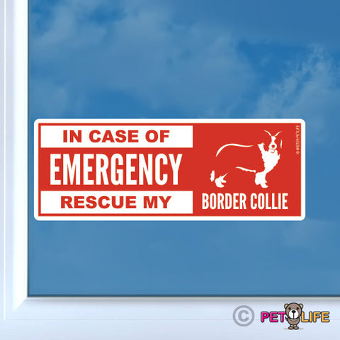 In Case of Emergency Rescue My Border Collie  Sticker