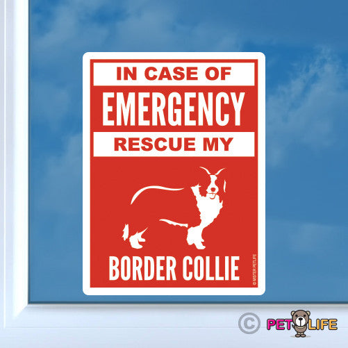 In Case of Emergency Rescue My Border Collie  Sticker