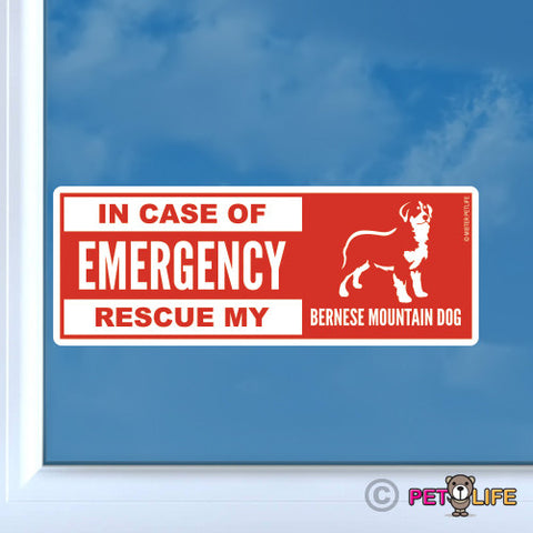 In Case of Emergency Rescue My Bernese Mountain Dog Sticker