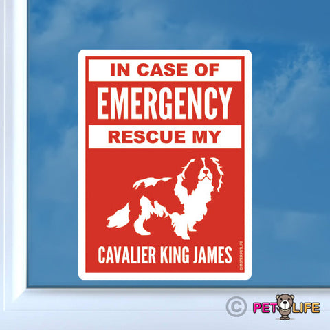 In Case of Emergency Rescue My Cavalier King James Sticker