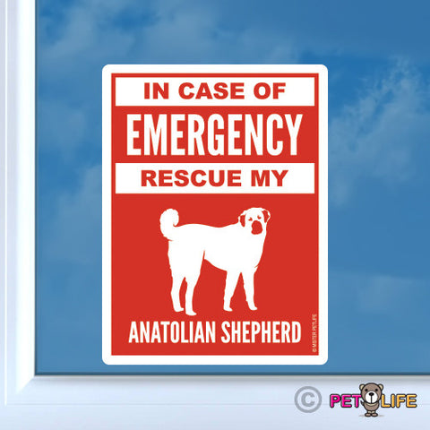 In Case of Emergency Rescue My Anatolian Shepherd Sticker