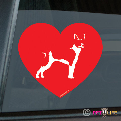 Love Rat Terrier Sticker
