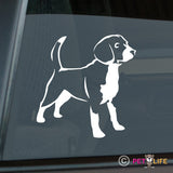 Beagle Sticker