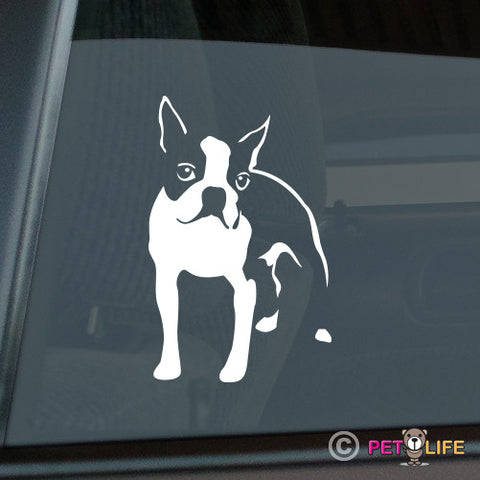 Boston Terrier Sticker