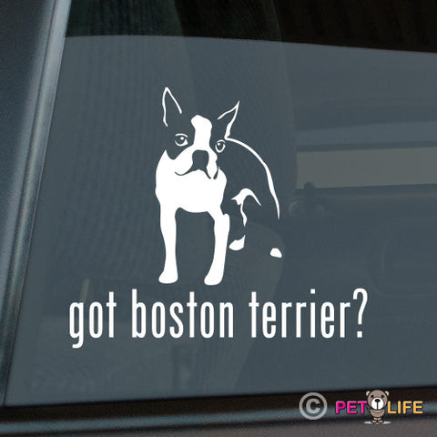 Got Boston Terrier Sticker