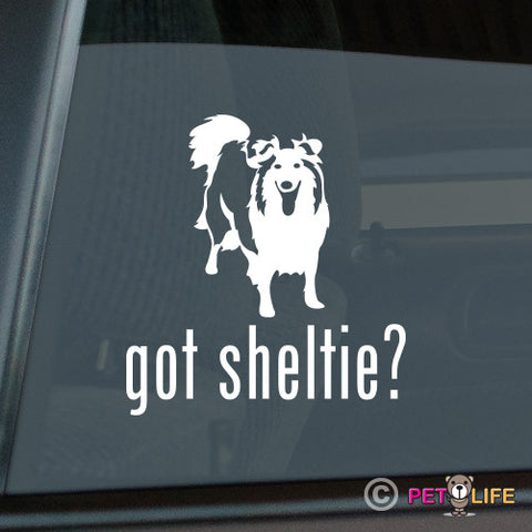 Got Sheltie Sticker