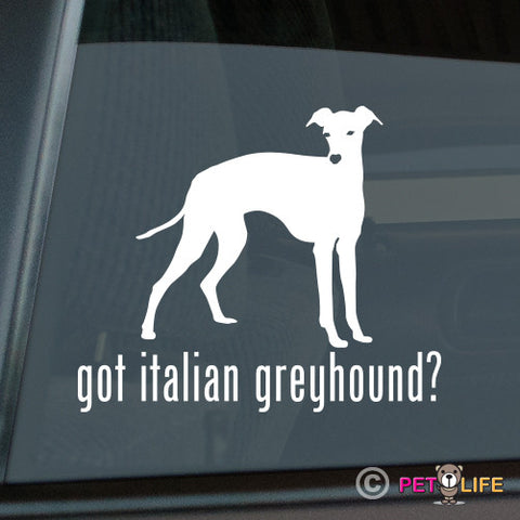 Got Italian Greyhound Sticker