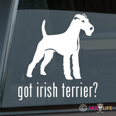Irish Terrier