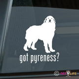 Got Great Pyrenees Sticker