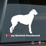 I Love My Scottish Deerhound Sticker