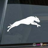 Whippet Sticker