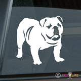 English Bulldog Sticker