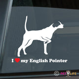 I Love My English Pointer Sticker