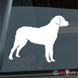 Chesapeake Bay Retriever Sticker