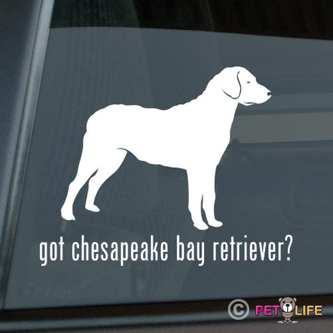 Got Chesapeake Bay Retriever Sticker