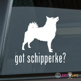 Got Schipperke Sticker