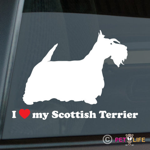 I Love My Scottish Terrier  Sticker