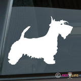 Scottish Terrier Sticker