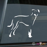 Manchester Terrier Sticker