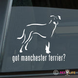 Got Manchester Terrier Sticker