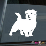 Norfolk Terrier Sticker