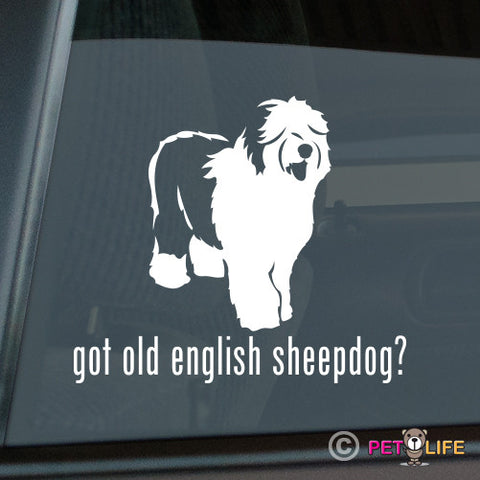 Got Old English Sheepdog Sticker