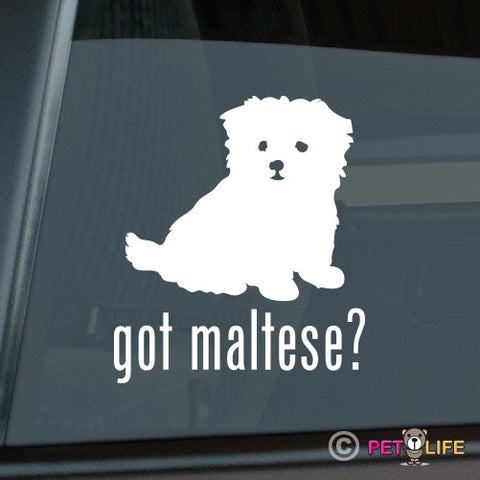 Got Maltesepuppy  Sticker