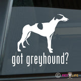 Got Greyhound Sticker