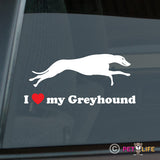 I Love My Greyhoundrunning  Sticker