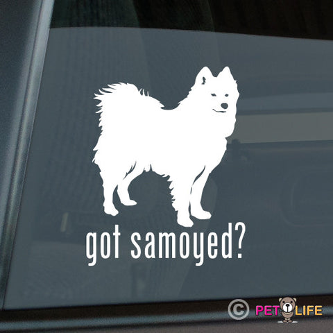 Got Samoyed Sticker