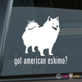 Got American Eskimo Sticker