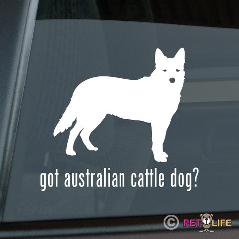 Got Australian Cattle Dog Sticker