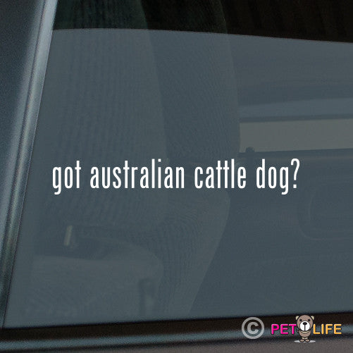 Got Australian Cattle Dog Sticker