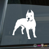 Pit Bull Sticker