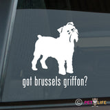 Got Brussels Griffon Sticker
