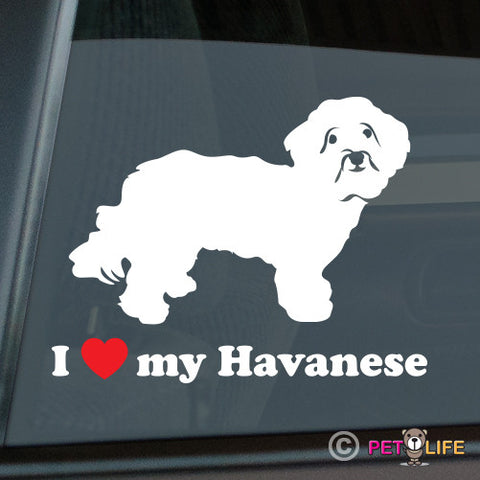 I Love My Havanese Sticker