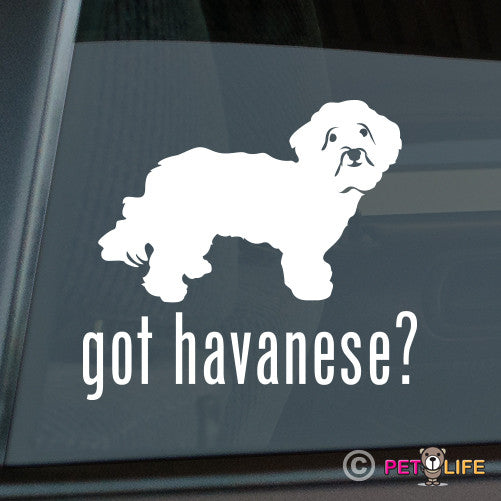 Got Havanese Sticker