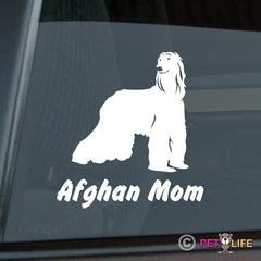 Afghan Hound