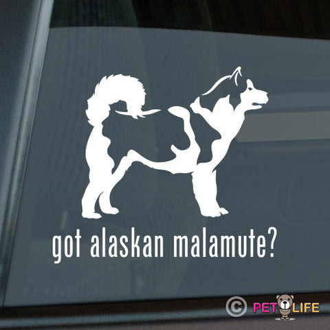 Got Alaskan Malamute Sticker