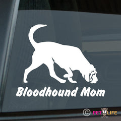 Bloodhound