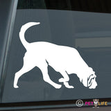 Bloodhound Sticker