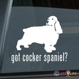 Got Cocker Spaniel Sticker