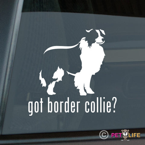 Got Border Collie Sticker