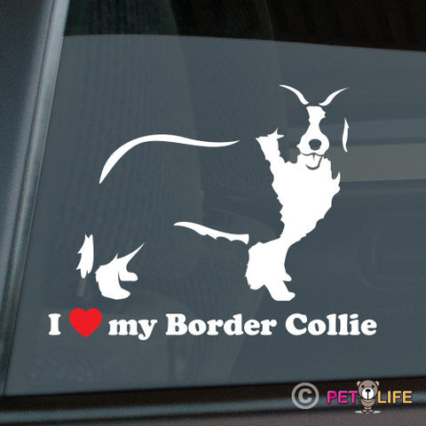 I Love My Border Collie  Sticker