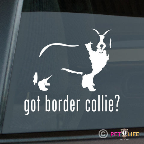 Got Border Collie  Sticker