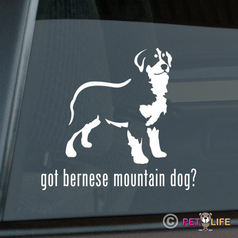 Got Bernese Mountain Dog Sticker